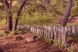 may16p2.jpg (18474 �o�C�g)