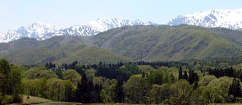 may17p1.jpg (13054 �o�C�g)