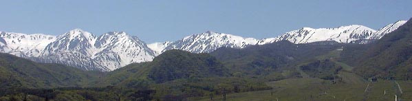 may17p2.jpg (19498 �o�C�g)