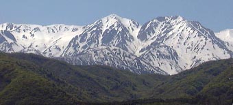 may17p3.jpg (14823 �o�C�g)