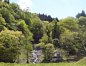 may20p1.jpg (31751 �o�C�g)