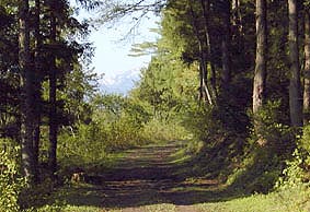 may20p10.jpg (22473 �o�C�g)