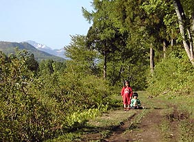 may20p11.jpg (29774 �o�C�g)