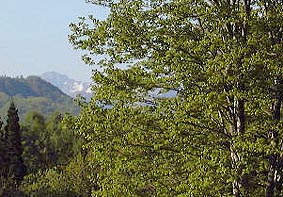 may20p12.jpg (31256 �o�C�g)