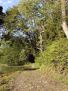 may20p13.jpg (44615 �o�C�g)