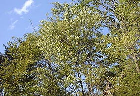 may20p14.jpg (36613 �o�C�g)