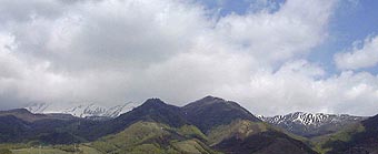 may20p3.jpg (9361 �o�C�g)