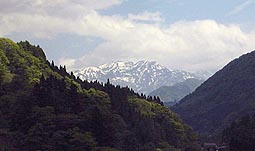 may20p4.jpg (9341 �o�C�g)