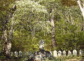 may20p6.jpg (38918 �o�C�g)