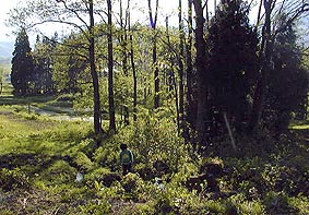 may20p7.jpg (31131 �o�C�g)