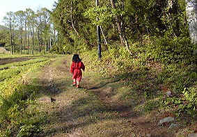 may20p8.jpg (32718 �o�C�g)