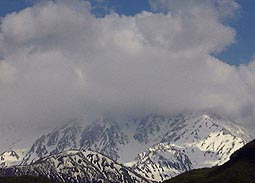 may21a1.jpg (10448 �o�C�g)