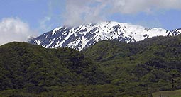 may25p2.jpg (10903 �o�C�g)