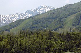 may31a1.jpg (17963 �o�C�g)