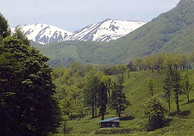 may31a2.jpg (18696 �o�C�g)