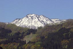 may7a2.jpg (8935 �o�C�g)