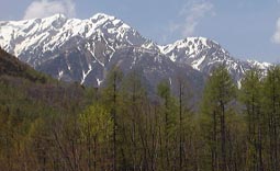 may8a3.jpg (10756 �o�C�g)