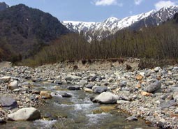 may8a5.jpg (16944 �o�C�g)