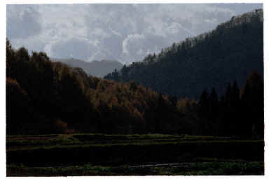 nov11.5.gif (54978 �o�C�g)