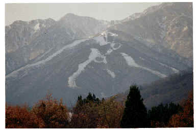 nov11114.GIF (65314 �o�C�g)