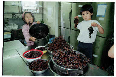 novbudou.GIF (81465 �o�C�g)