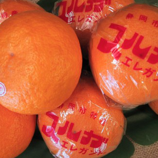 スルガエレガント