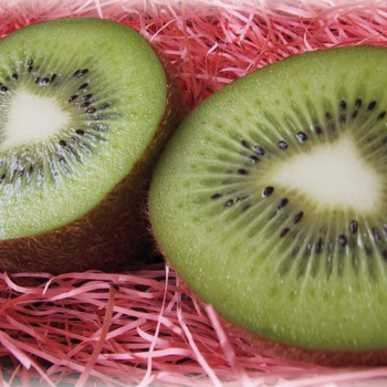 エメラルドキウイ　★