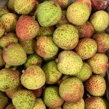 トロピカルフルーツ(色々)