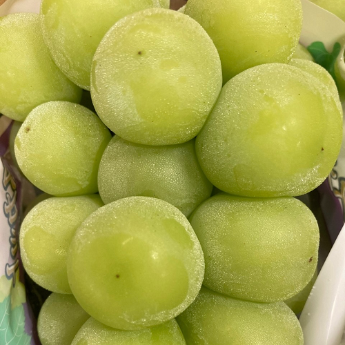 シャインマスカット