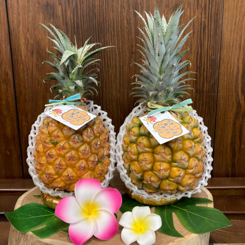 沖縄スナックパイン