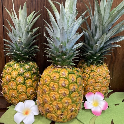 フィリピンパイン　★