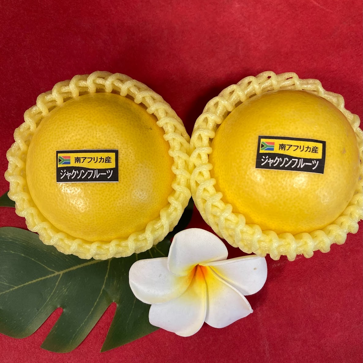 ジャクソンフルーツ