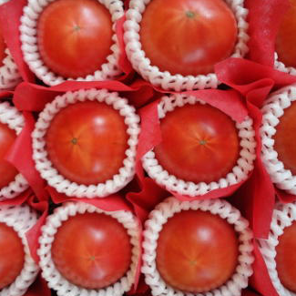 大地の赤トマト
