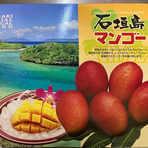 沖縄マンゴー