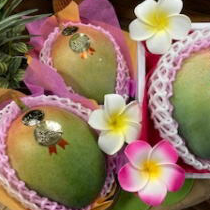 キーツマンゴー