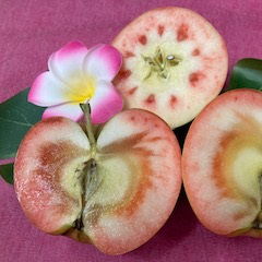 ムーンルージュ