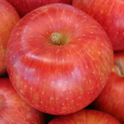 シナノスイート