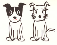 ��������Ⴂ�܂�