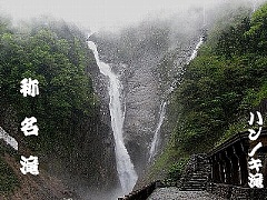 �̖���ƃn���m�L��