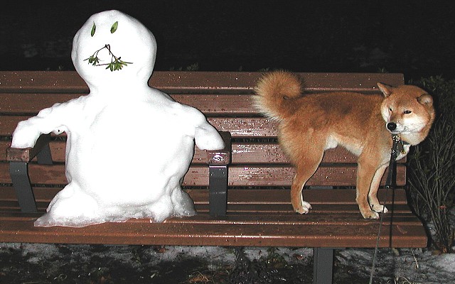 ��_���}�ƃc�[�V���b�g