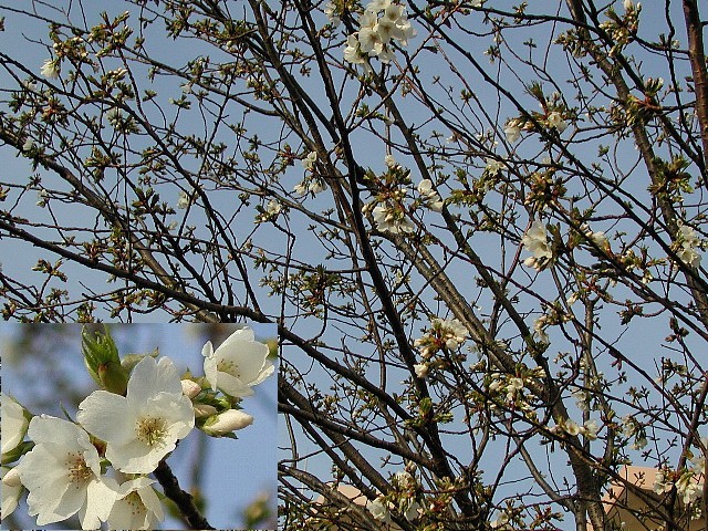 �������ԍ�