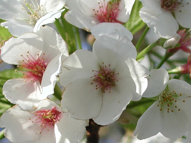 ����ɖ����@��ԍ�