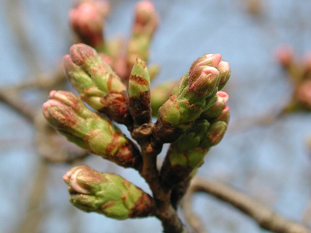 ���������J��