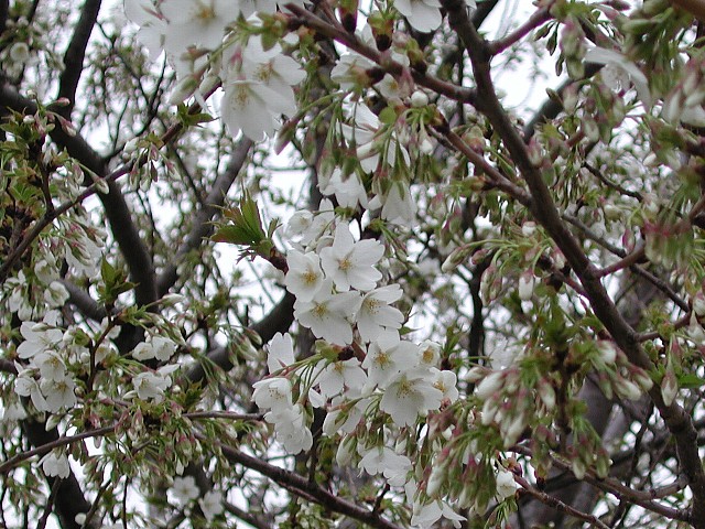 �I�I�V�}�����J��