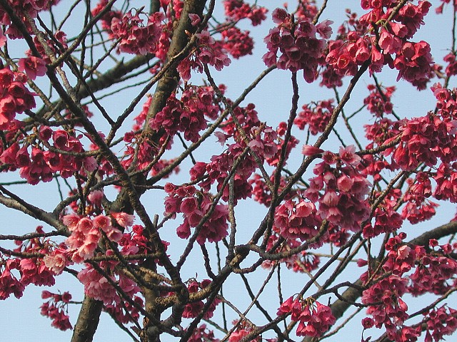 ���J���߂��������