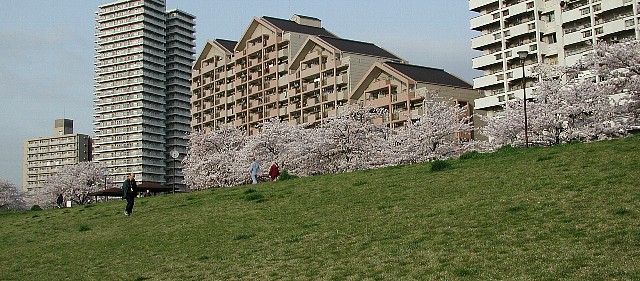 �������{��