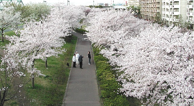 �������{��