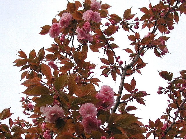 �J���U��