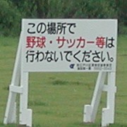 �����쎙������