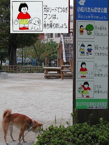 �����̊Ŕ�